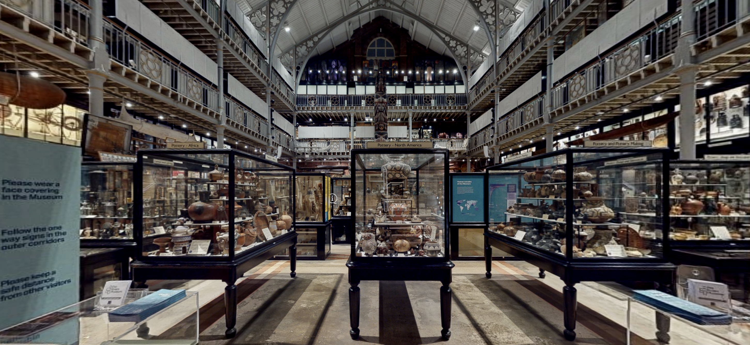 Steps lead down into a darkened room filled with nineteenth-century museum display cases full of lots of different objects