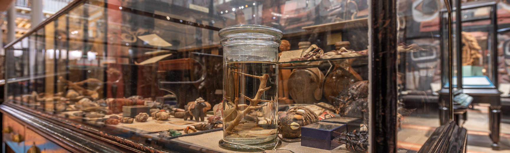 Close up of case display in Pitt Rivers Museum