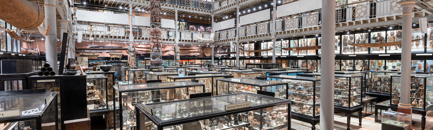 pitt rivers 18 5 22 1 copy